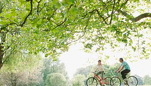 La strada del Vino e dei Sapori